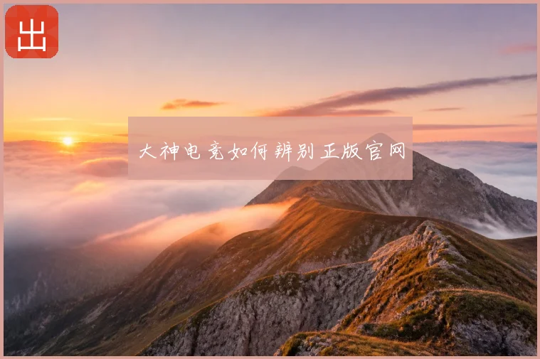 大神电竞如何辨别正版官网